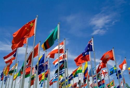 Warp Rajutan Kain Cetak Kustom Bahan Polyester 100% Untuk Taplak Meja