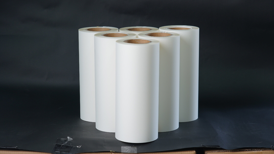 Transparan DTF Transfer Film / Hot Stamping Printing Film 0,6 X 100m