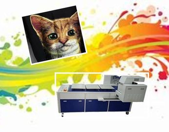 Mesin Cetak Kaos Digital Langsung Ke Printer Garmen Dengan 8 Print Head RICOH