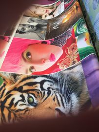 100% Polyster Digital Printing Fabric Tatting Weave Sublimasi Coating